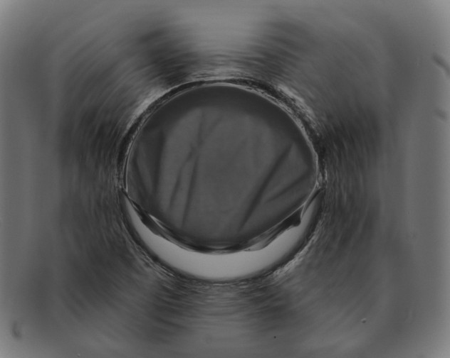 X0000091461457200709131725