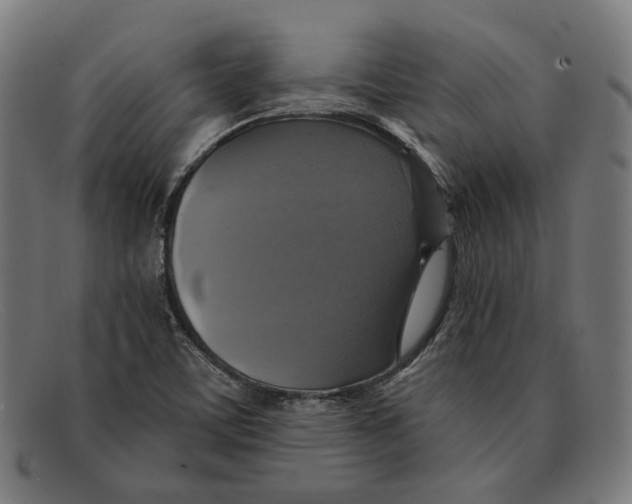 X0000091461459200709131725