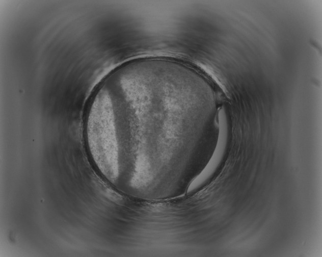 X0000091461460200709131725