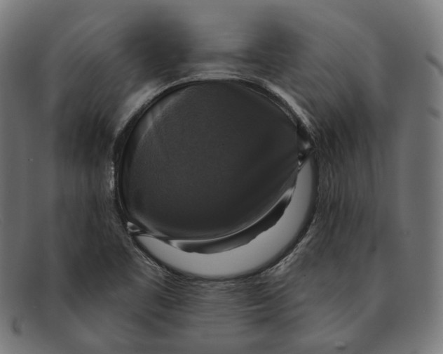X0000091461461200709131724