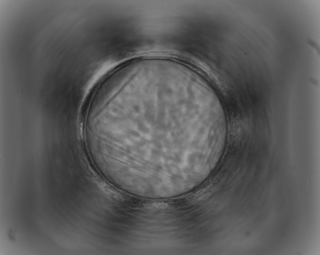 X0000091461462200709131724