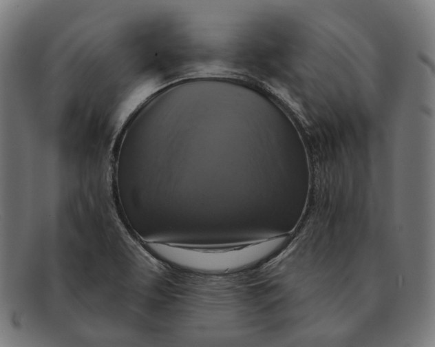 X0000091461463200709131724