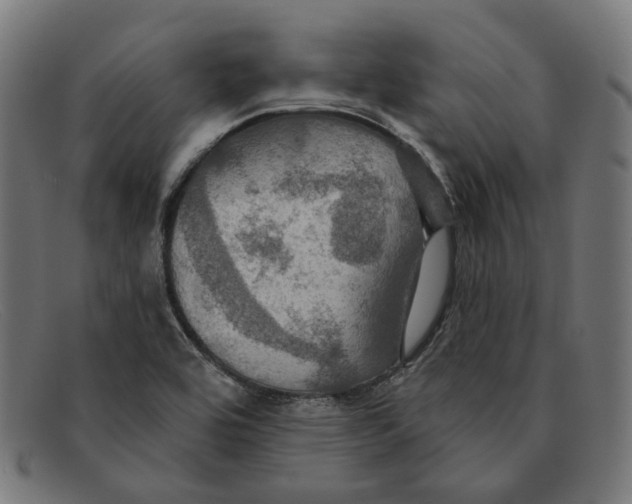 X0000091461464200709131724