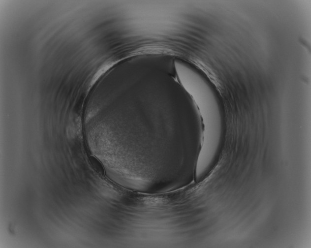 X0000091461465200709131724