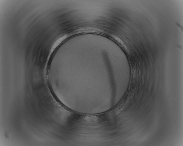 X0000091461466200709131724
