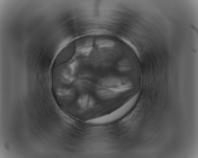 X0000091461467200709131724
