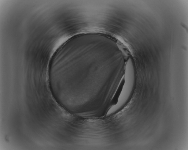 X0000091461469200709131724