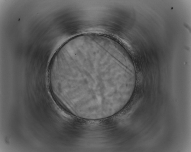 X0000091461470200709131724