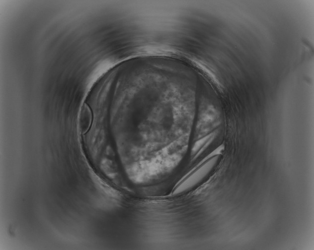 X0000091461471200709131724