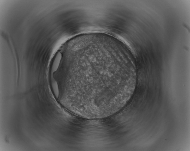 X0000091461472200709131724