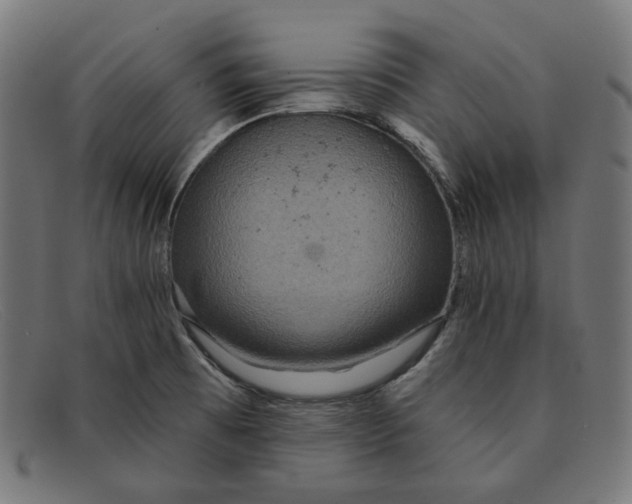X0000091461473200709131724