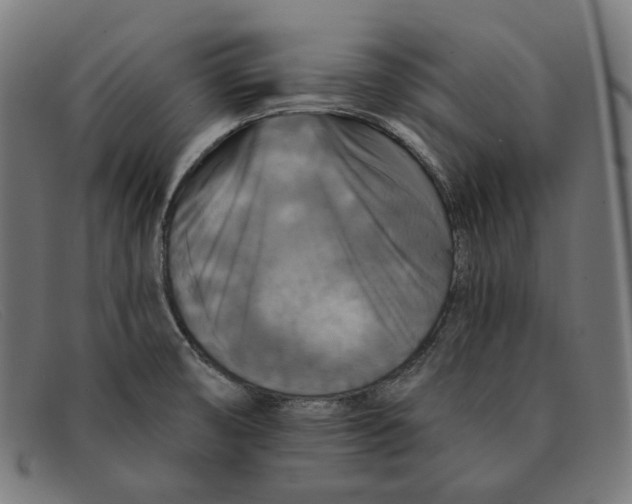 X0000091461474200709131724