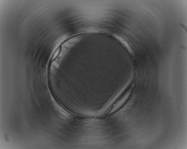 X0000091461475200709131724