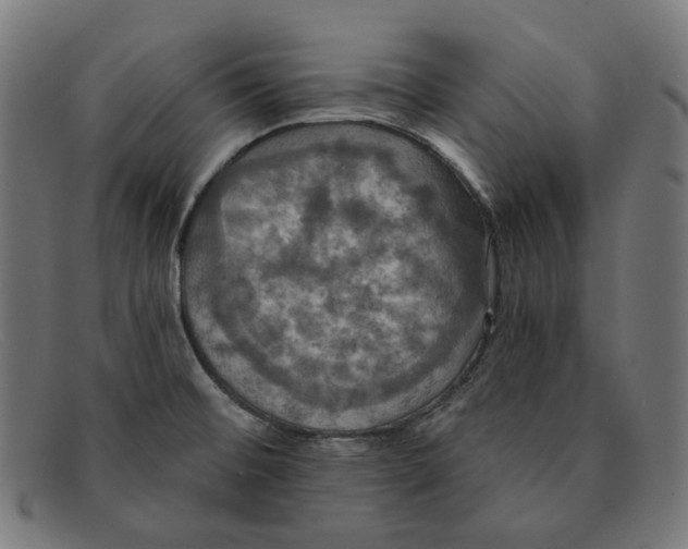 X0000091461476200709131724
