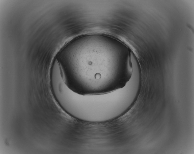 X0000091461477200709131724