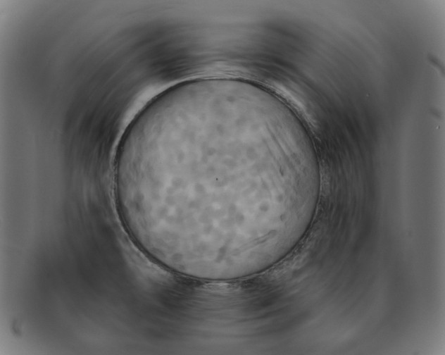 X0000091461478200709131724