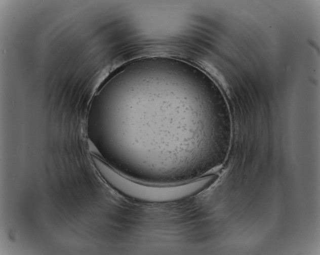 X0000091461481200709131724