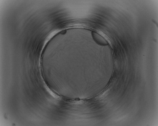 X0000091461482200709131724