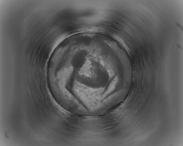 X0000091461483200709131724