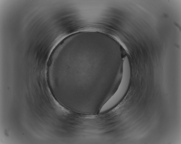 X0000091461484200709131724