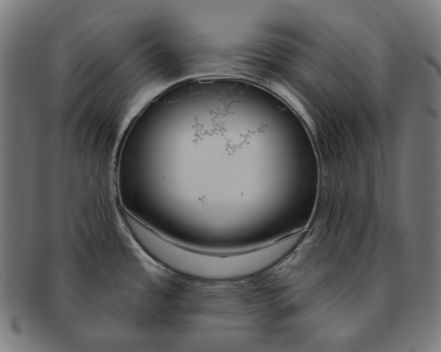 X0000091461485200709131724