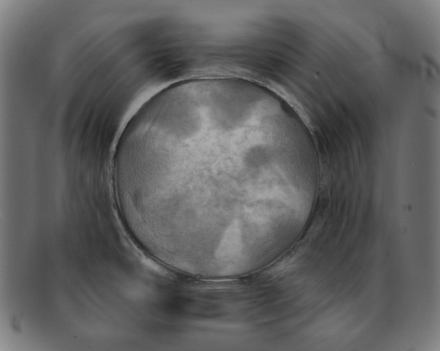 X0000091461486200709131724