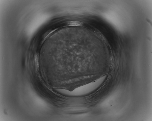 X0000091461487200709131724