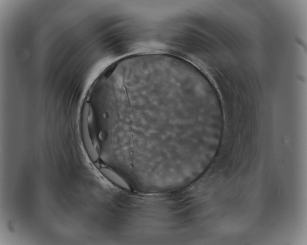 X0000091461488200709131724