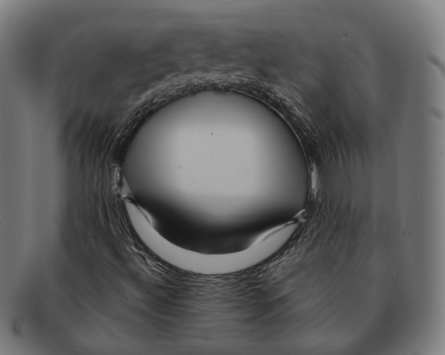 X0000091461492200709131724