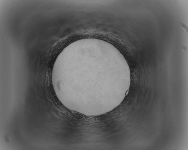 X0000091461493200709131724