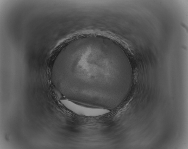 X0000091461494200709131724