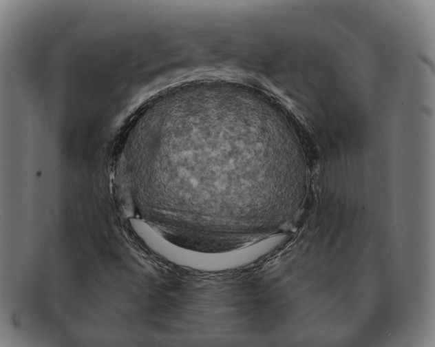 X0000091461496200709131724
