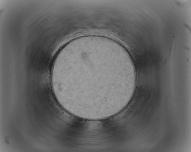X0000091461498200709131724
