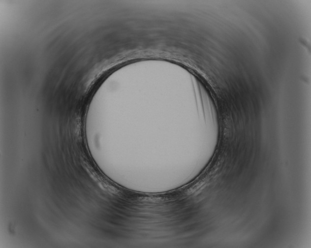 X0000091461499200709131724