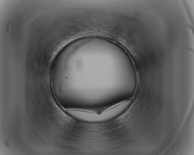 X0000091461500200709131724