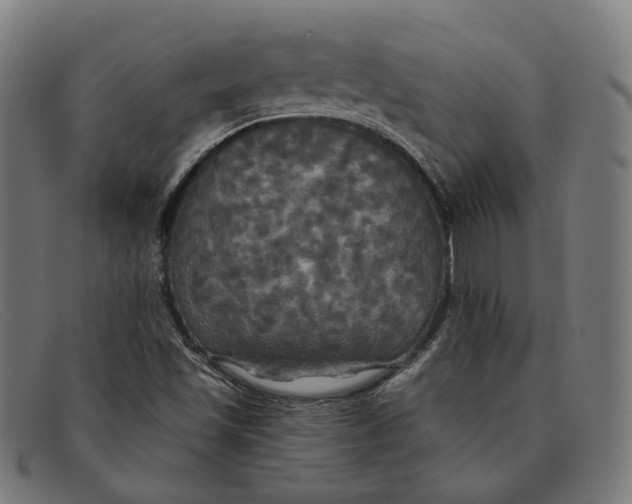 X0000091461501200709131724