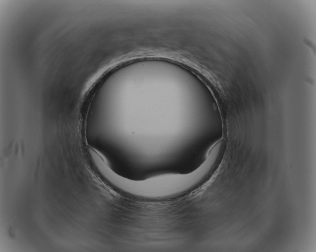 X0000091461502200709131724