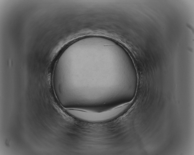 X0000091461503200709131724