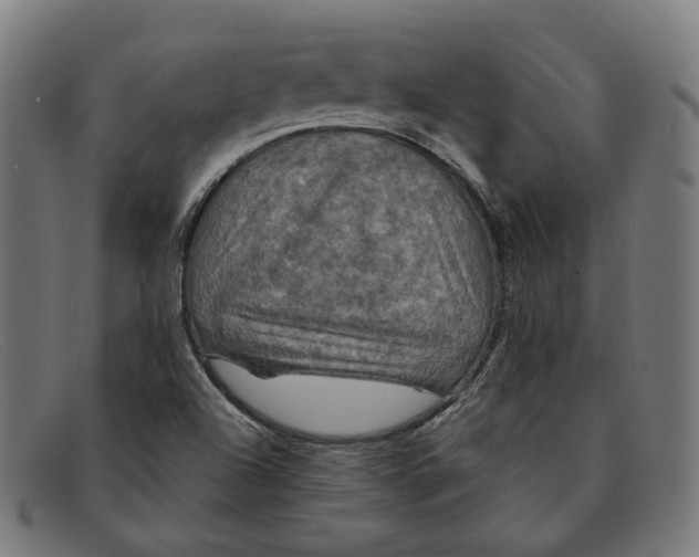 X0000091461504200709131724