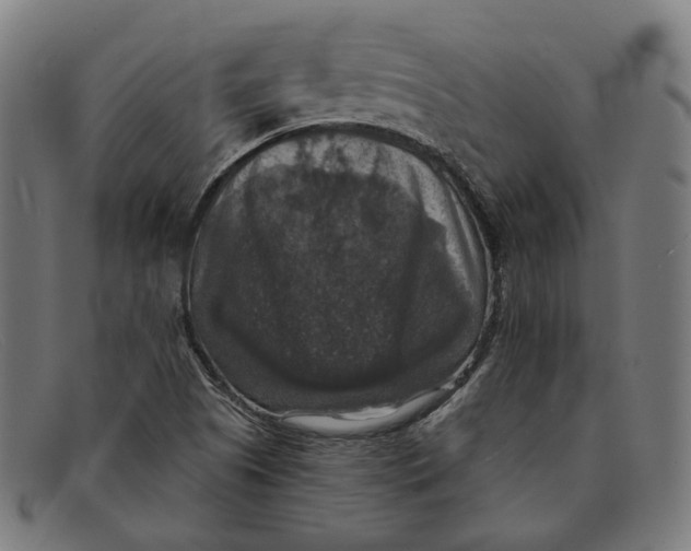 X0000091461505200709131724