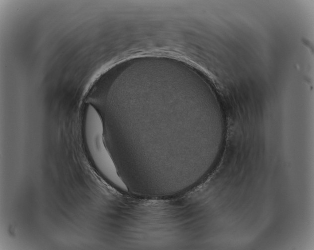 X0000091461506200709131724