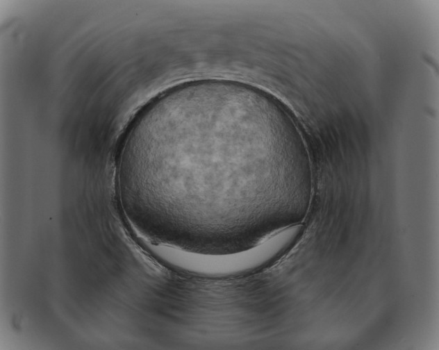 X0000091461507200709131724