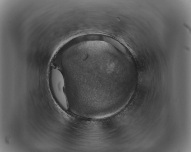 X0000091461508200709131724