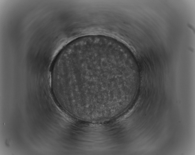 X0000091461509200709131724