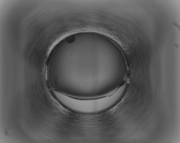 X0000091461510200709131724