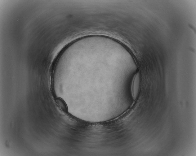 X0000091461511200709131724