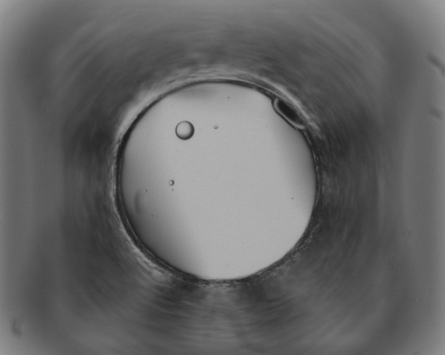 X0000091461512200709131724