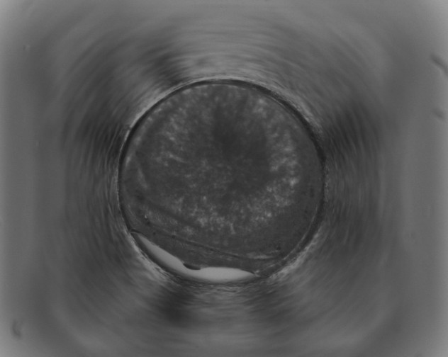X0000091461513200709131724