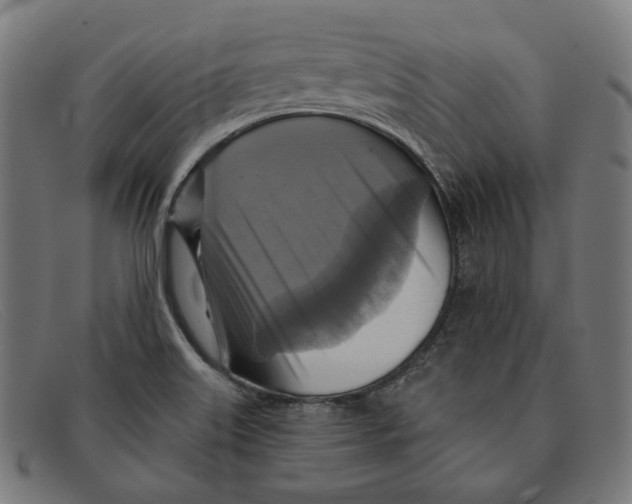 X0000091461515200709131724