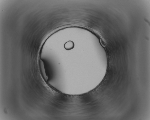 X0000091461516200709131724